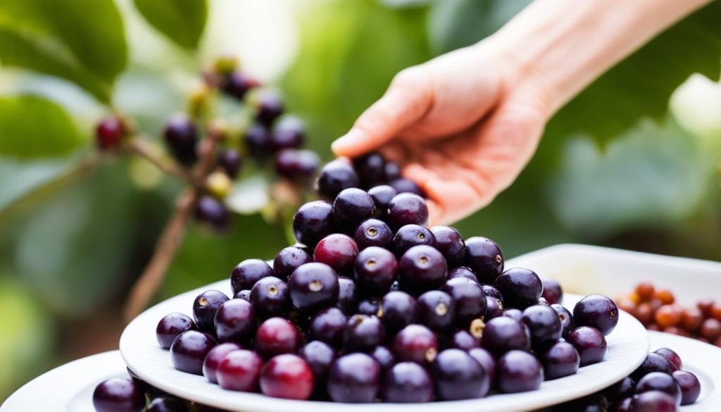 jabuticaba para diabéticos